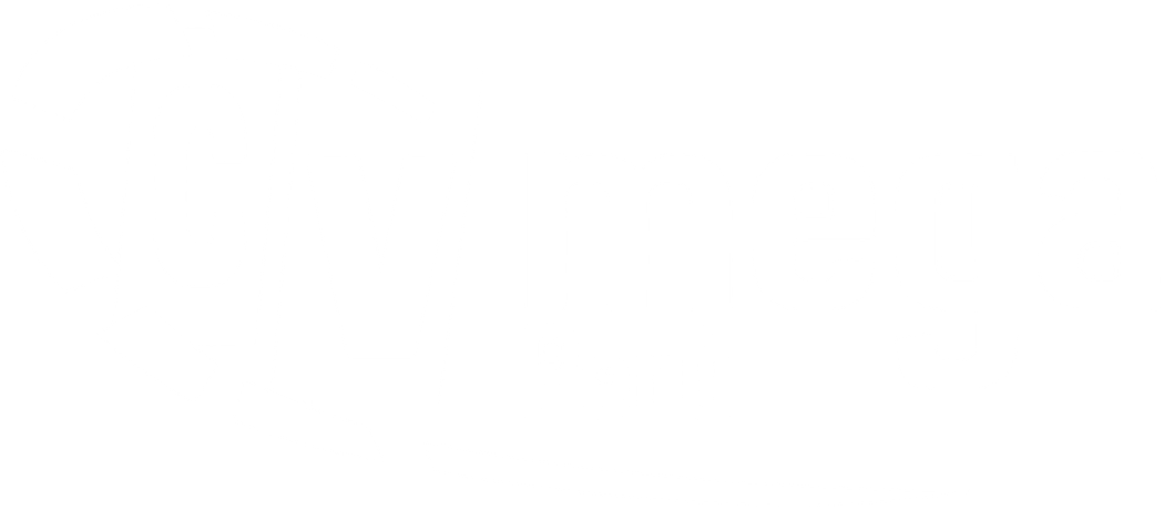 CVmega Perú